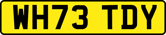 WH73TDY
