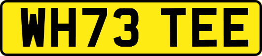 WH73TEE