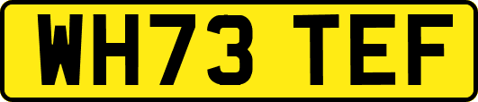 WH73TEF