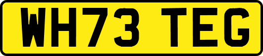 WH73TEG