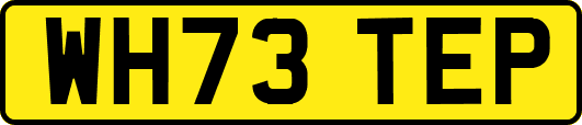 WH73TEP