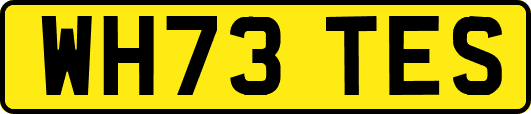 WH73TES