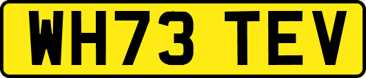 WH73TEV