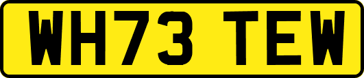 WH73TEW