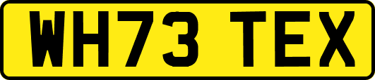 WH73TEX