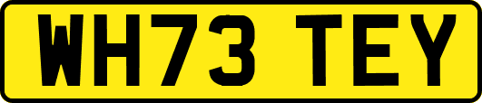 WH73TEY