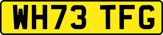 WH73TFG