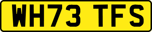 WH73TFS
