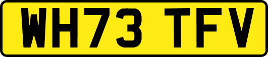 WH73TFV