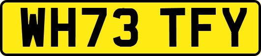 WH73TFY