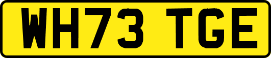 WH73TGE