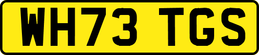 WH73TGS