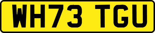 WH73TGU