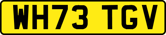 WH73TGV