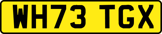 WH73TGX