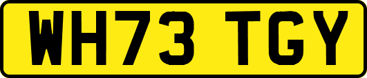 WH73TGY