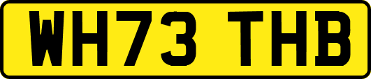 WH73THB