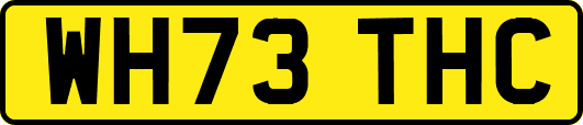 WH73THC