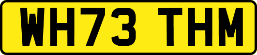 WH73THM