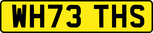 WH73THS