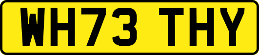 WH73THY