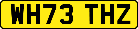 WH73THZ