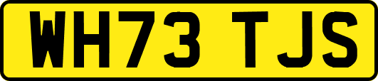 WH73TJS