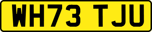 WH73TJU