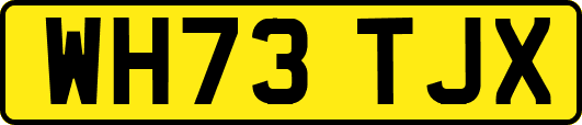 WH73TJX