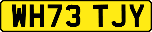 WH73TJY