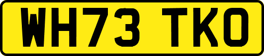 WH73TKO