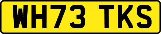 WH73TKS