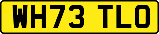 WH73TLO