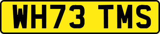 WH73TMS