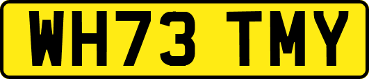 WH73TMY
