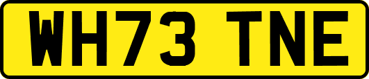 WH73TNE