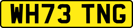 WH73TNG