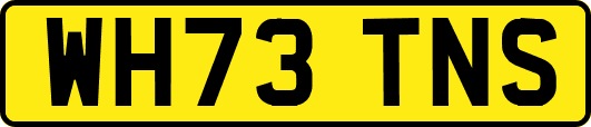 WH73TNS