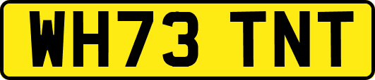 WH73TNT