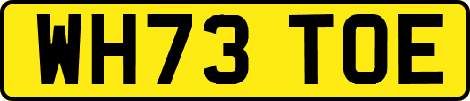 WH73TOE