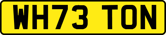 WH73TON