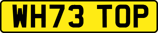 WH73TOP