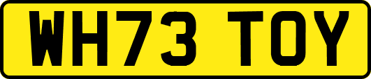 WH73TOY