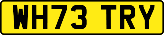WH73TRY