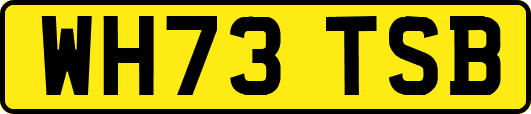 WH73TSB