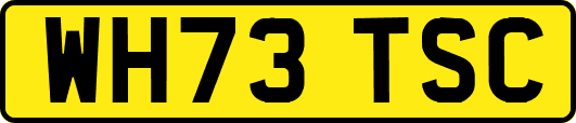 WH73TSC
