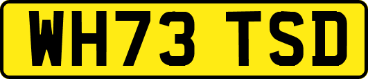 WH73TSD