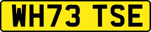 WH73TSE