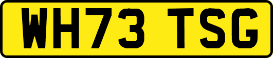 WH73TSG