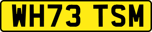 WH73TSM